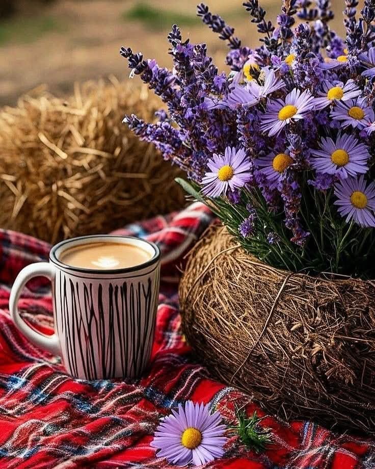 zizela (@novi_zivot) on Twitter photo 