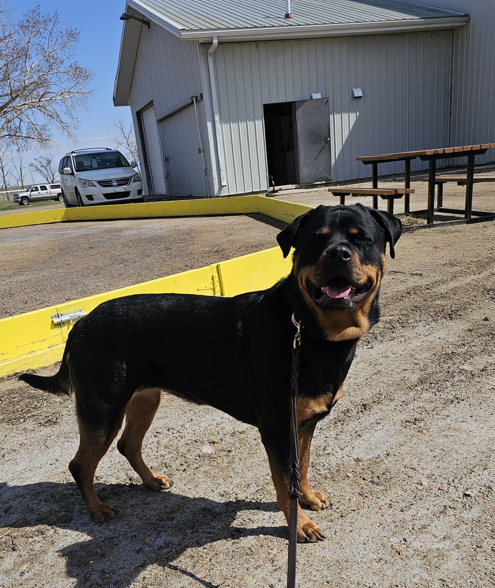 Admin post: 
Sometimes I hate being a wheelchair user.  People give me pity smiles, make inappropriate comments, and despite the fact that I'm typically really independent, sometimes the barriers built by a community make me feel inconvenient. 
Thursday I loaded the van and drove