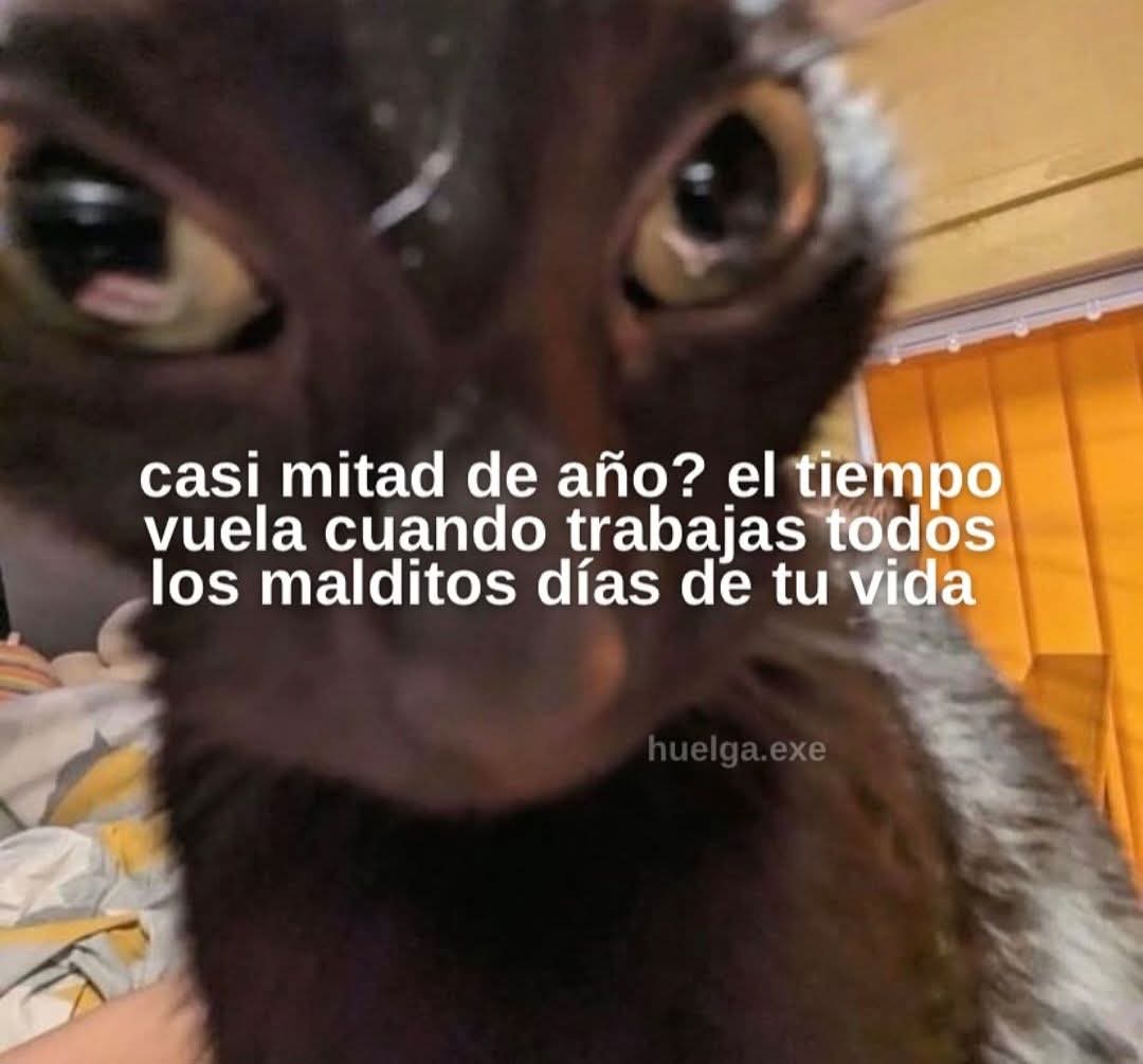 En Júpiter (@en_jupiter_) on Twitter photo 