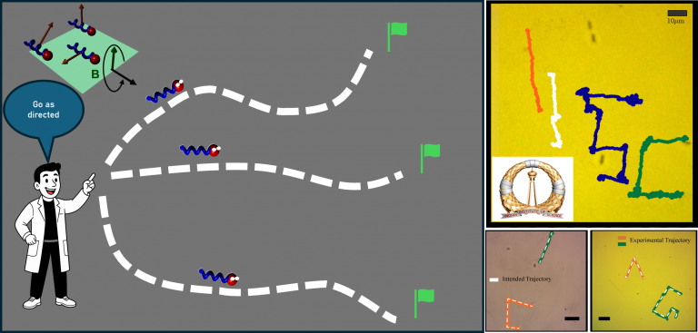 IISc Bangalore (@iiscbangalore) on Twitter photo How do you control individual nanobots within a swarm? Researchers <a href="/CeNSEatIISc/">CeNSEatIISc</a> have used a novel approach called intermittent randomisation to manipulate the movement of each bot independently.
iisc.ac.in/precision-in-t…
#IIScresearch How do you control individual nanobots within a swarm? Researchers <a href="/CeNSEatIISc/">CeNSEatIISc</a> have used a novel approach called intermittent randomisation to manipulate the movement of each bot independently.
iisc.ac.in/precision-in-t…
#IIScresearch