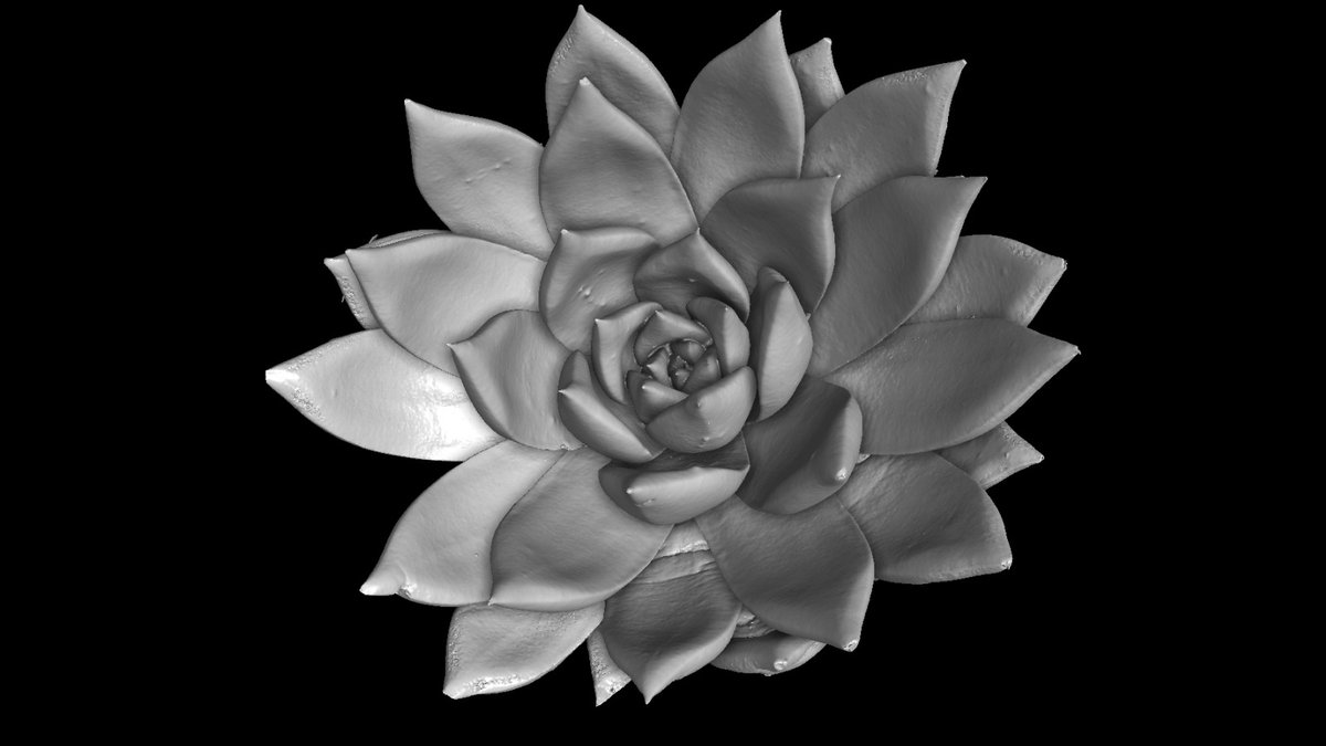 XsightXray tweet media