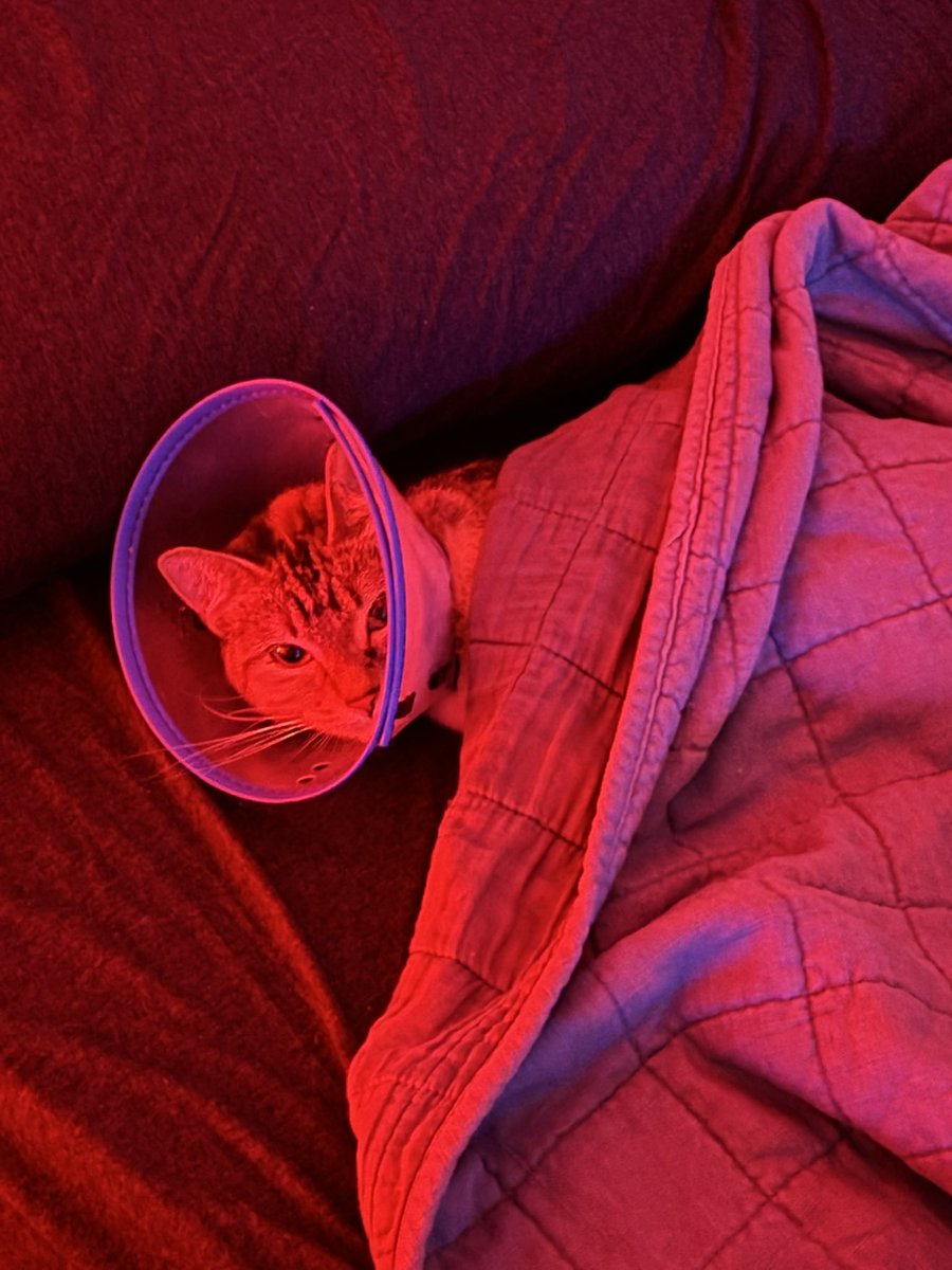 Cone head.