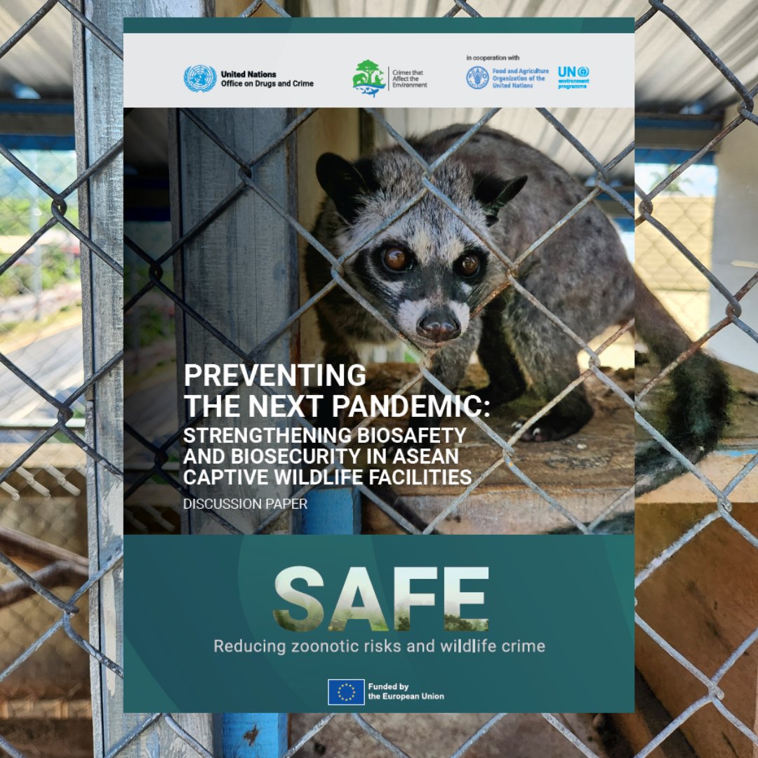 UN Office on Drugs & Crime tweet media