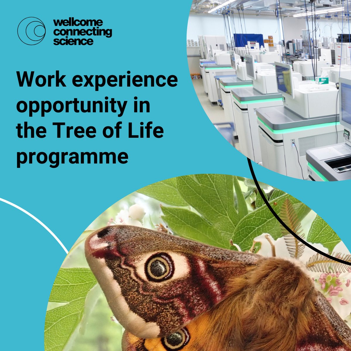 We’re excited to offer a hands-on opportunity for a Year 12 or 13 student to join the Tree of Life Programme team at the @SangerInstitute.

📅 Placement dates: 30 June - 11 July 2025
📍 Location: Hinxton, Cambridgeshire
🗓️ Apply by: Monday 19 May 2025

🔗 cstu.io/afebce