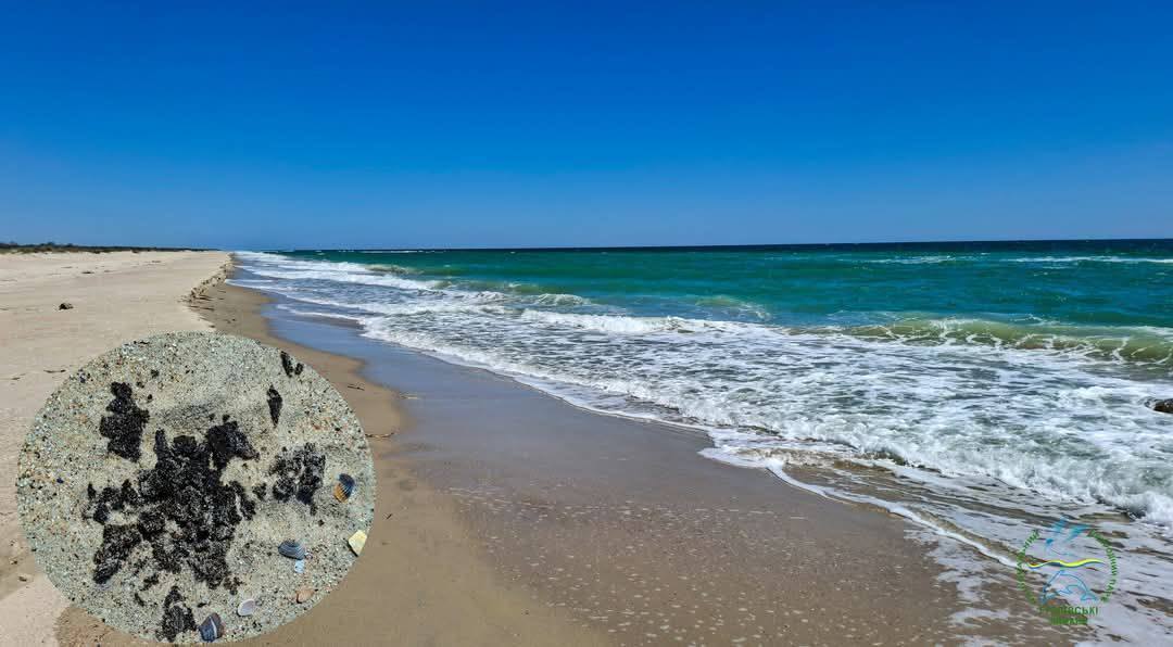 Fuel #oil from Russian tankers found on #Odesa coast again. 

Almost 5 months have passed since the accident. 

More information in the news – surl.li/pekqmv

#ecopolitic #ecology #environment #Ukraine