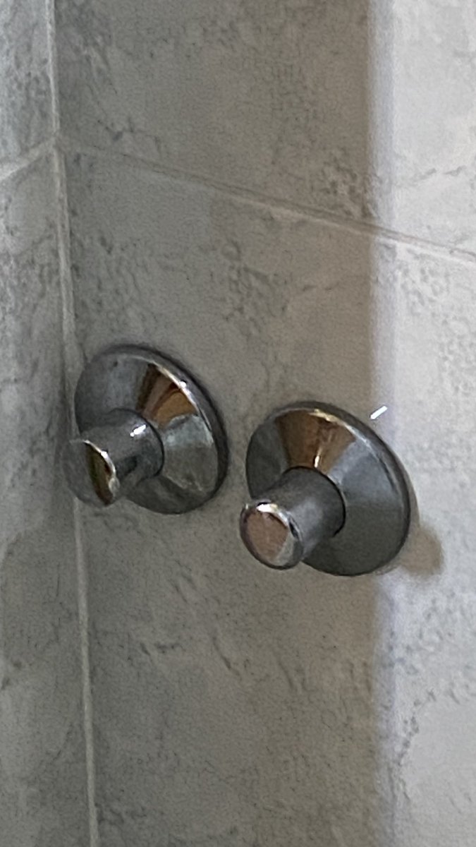 The American mind cannot comprehend these 👇