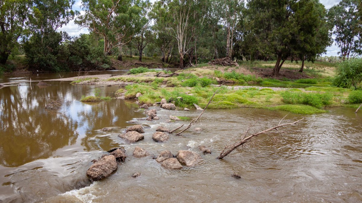 🚨Water users in some parts of the Namoi valley must have a licence and compliant primary metering equipment installed to capture water moving across a floodplain by March 2026. 

Find out more: bit.ly/43enE2x