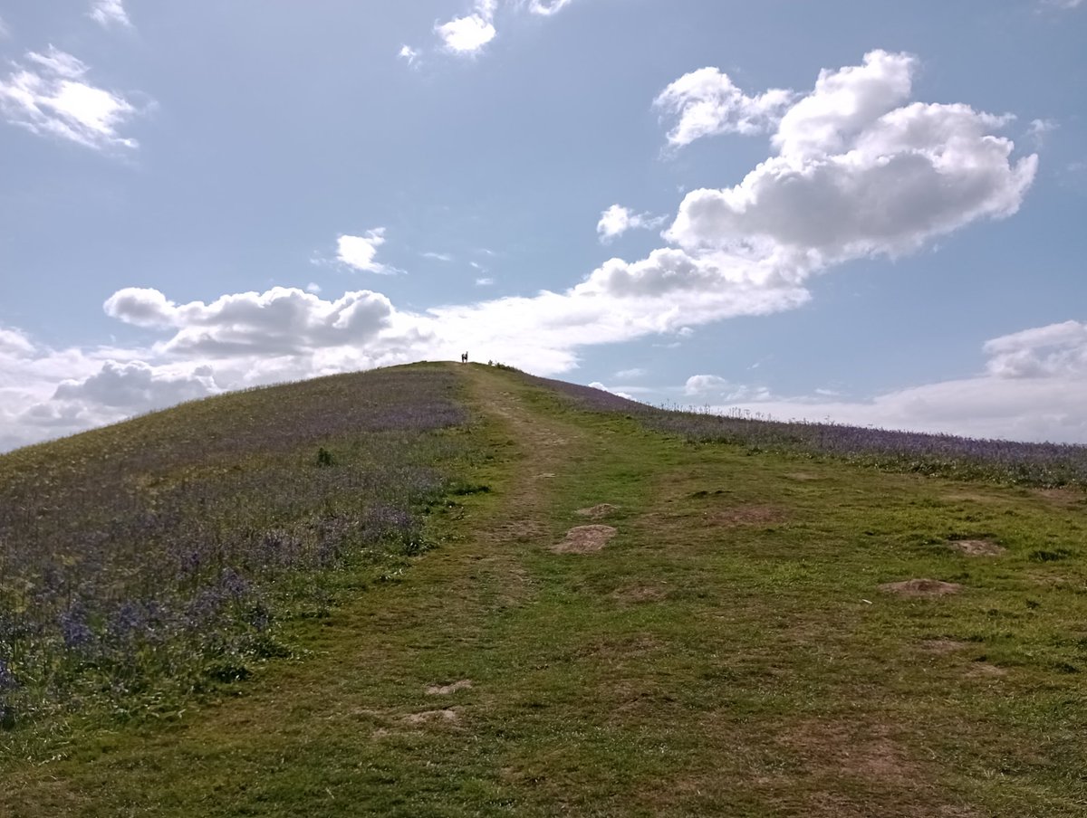 b_dmintl's tweet photo. Lovely walk from Uley to Cam Peak yesterday. Bluebells may have been past their prime, but still worth the steep climb to see them and the sweeping views of the estuary 
#gloucestershire #walking https://t.co/y31lYQnh9R
