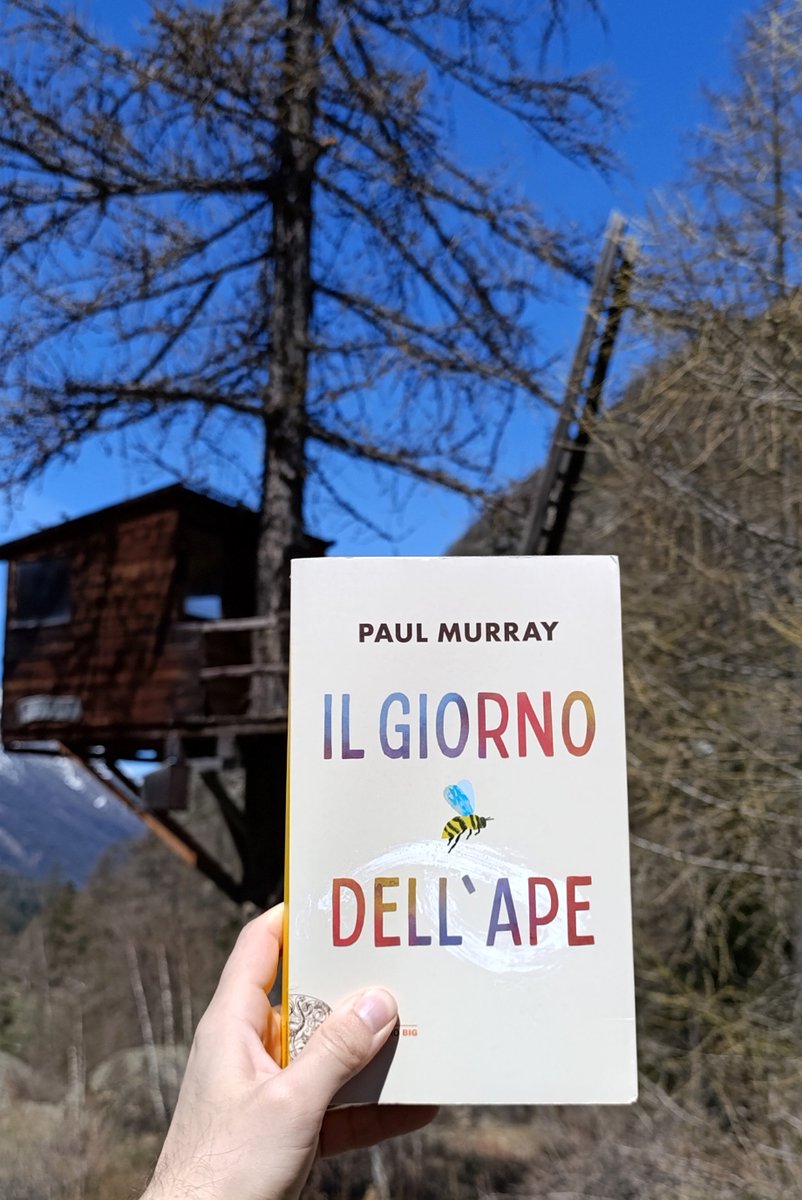 ragazzochelegge (@mik_1994) on Twitter photo Gli scoiattoli rossi sono in via d'estinzione. E le famiglie felici? <a href="/Einaudieditore/">Einaudi editore</a> ci presenta i Barnes.
La recensione sul sito: diariodiunadipendenza.blogspot.com/2025/05/recens… Gli scoiattoli rossi sono in via d'estinzione. E le famiglie felici? <a href="/Einaudieditore/">Einaudi editore</a> ci presenta i Barnes.
La recensione sul sito: diariodiunadipendenza.blogspot.com/2025/05/recens…