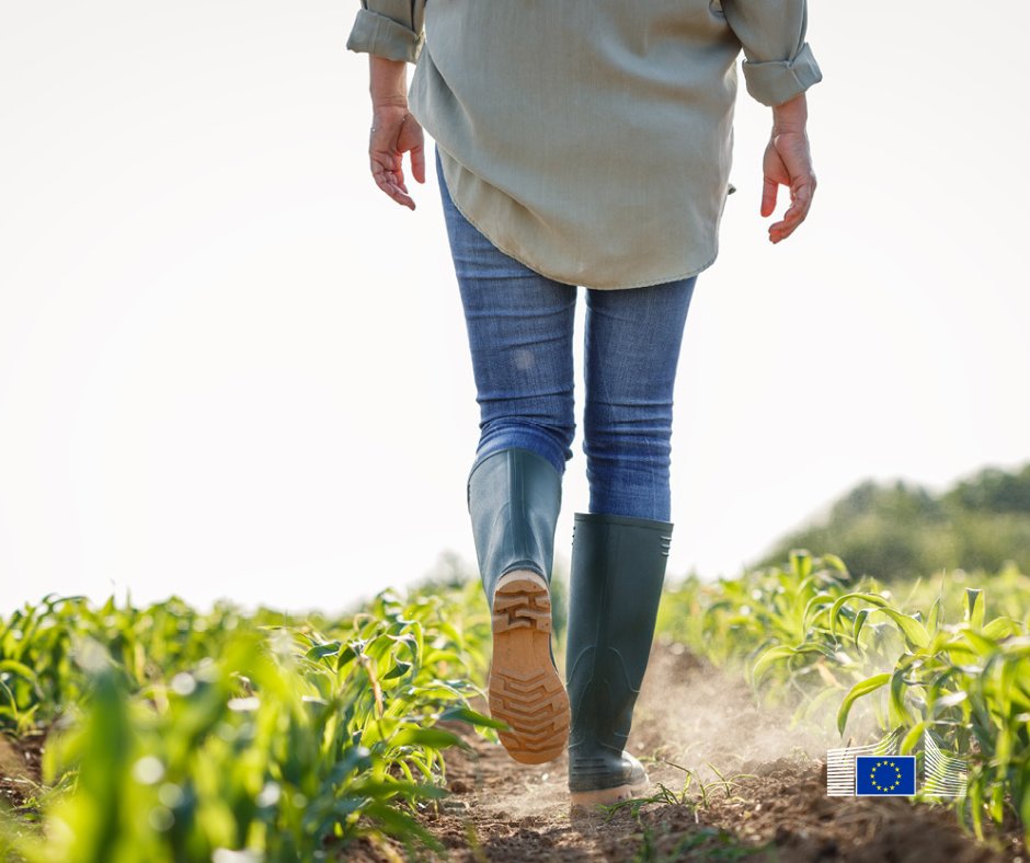 What does it mean to be a farmer in today's world?

Long working hours, financial worries and isolation are part of farmers' struggles.

Listen more about #MentalHealth in farming and how to support it 👇

#FoodForEurope Podcast 🇬🇧🇫🇷🇩🇪
open.spotify.com/show/5jjDJX8df…
#EUDiversityMonth
