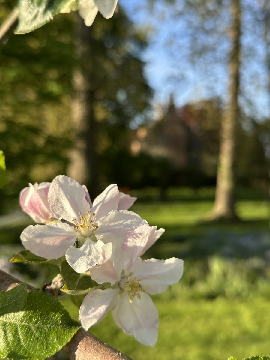 Brigitte Webster tweet media