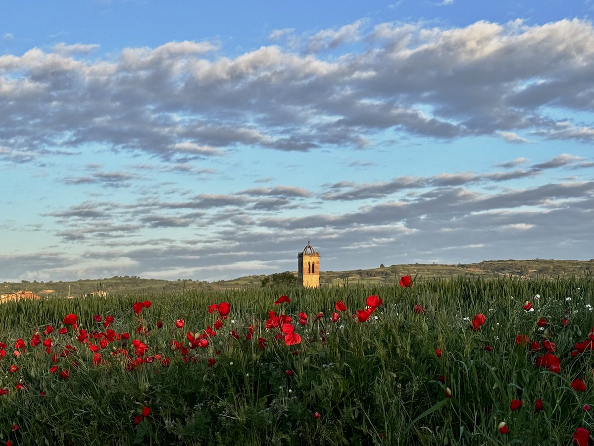 tribusdelasegarra tweet media