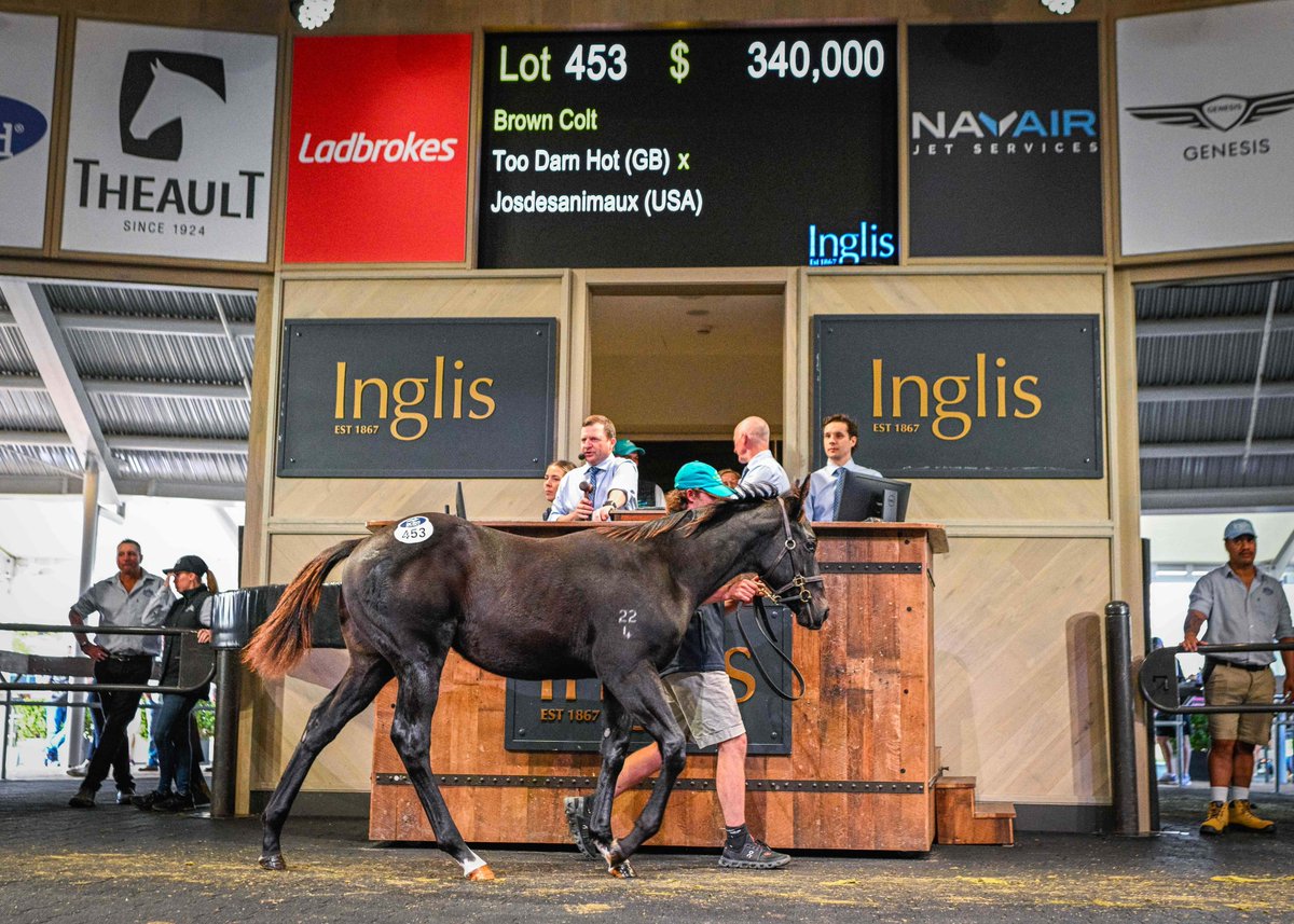 Alma Vale Thoroughbreds (@almavaletb) on Twitter photo Thatโs a wrap on our first stand-alone Australian Weanling Sale, and weโre thrilled to have finished as the leading vendor by aggregate! Most notably, Lot 362 โ Anamoe x Eawase sold to Lime Country Thoroughbreds, and Lot 453 โ Too Darn Hot (GB) x Josdesanimaux (USA) to Silverdale Thatโs a wrap on our first stand-alone Australian Weanling Sale, and weโre thrilled to have finished as the leading vendor by aggregate! Most notably, Lot 362 โ Anamoe x Eawase sold to Lime Country Thoroughbreds, and Lot 453 โ Too Darn Hot (GB) x Josdesanimaux (USA) to Silverdale