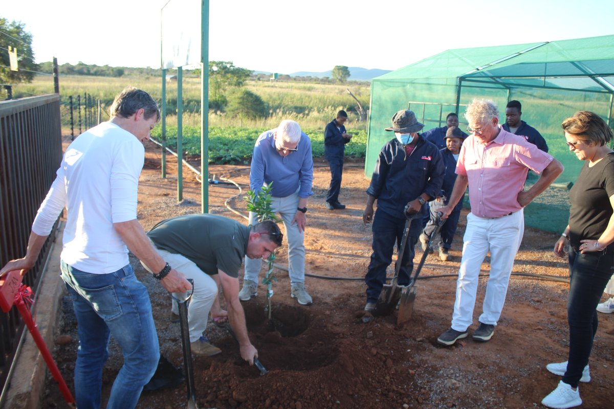 We were honoured to host our partners, the AFAS Foundation, for a tour of Ndlovu Care Group projects—from health &amp; education to youth empowerment. Each planted a tree at our Ndlovu-AFAS Farm, marking their lasting impact. Thank you, AFAS, for changing lives with us! #AFAS #Impact