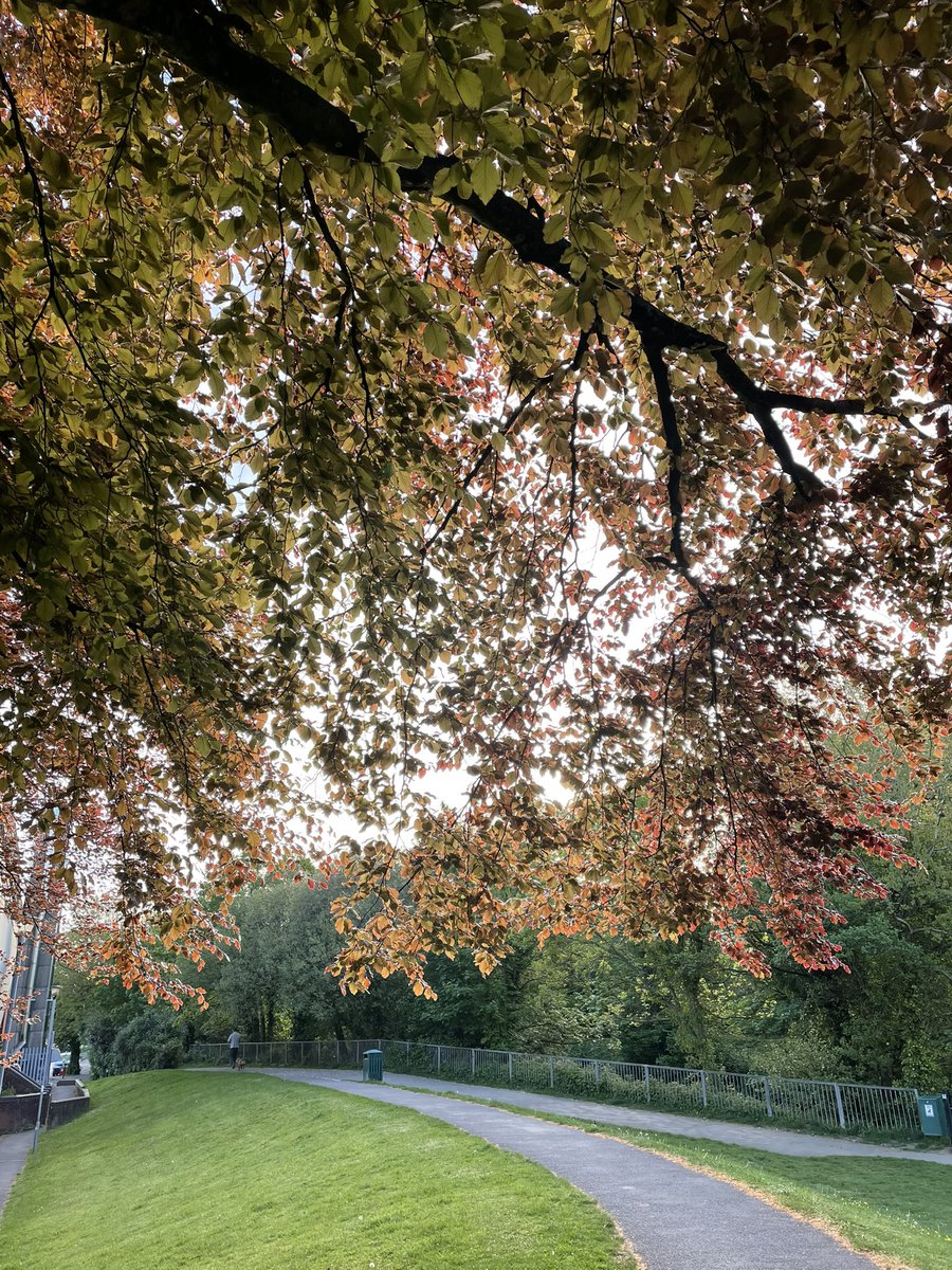 Christine Stovell tweet media