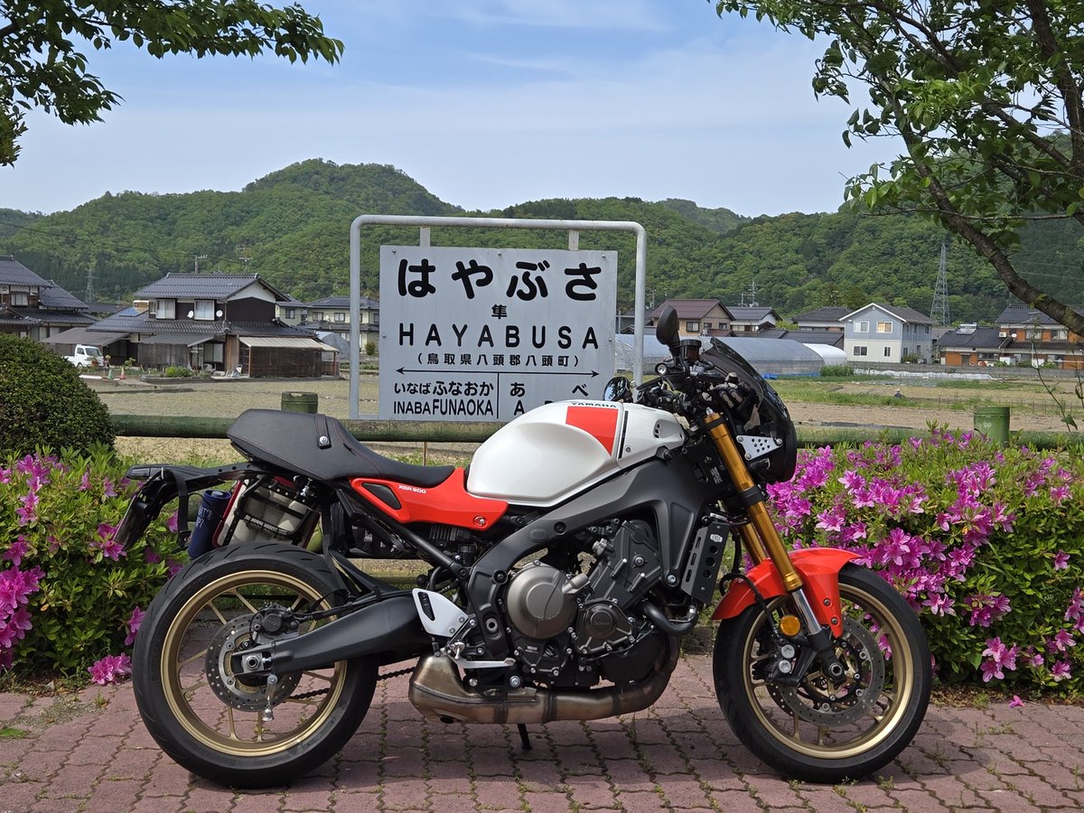 風民のペケすら🏍️ tweet media
