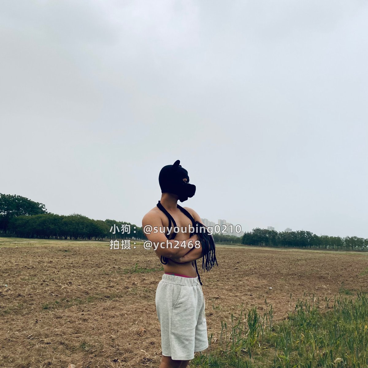 杨晨皓 tweet media