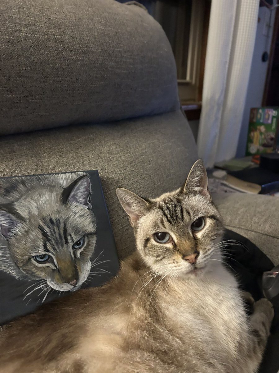 SandiBJones's tweet photo. The marketing team @Chewy is on point. My kitty got his own portrait in the mail. https://t.co/Xav4OEMBov