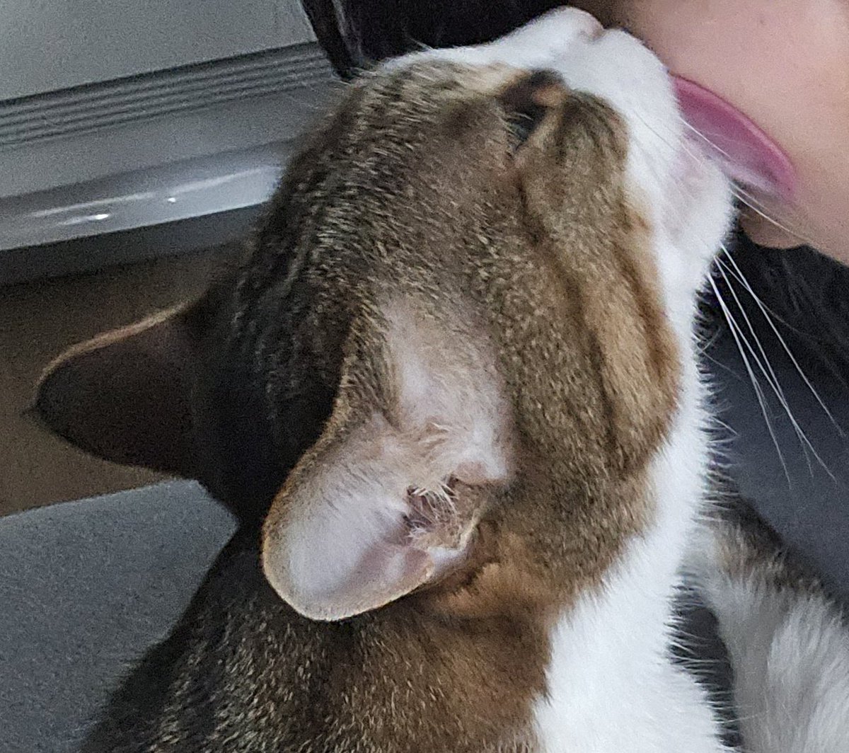 나 리들샷 잘바르는 이유
리들샷1000000이 매일 나 핥아서