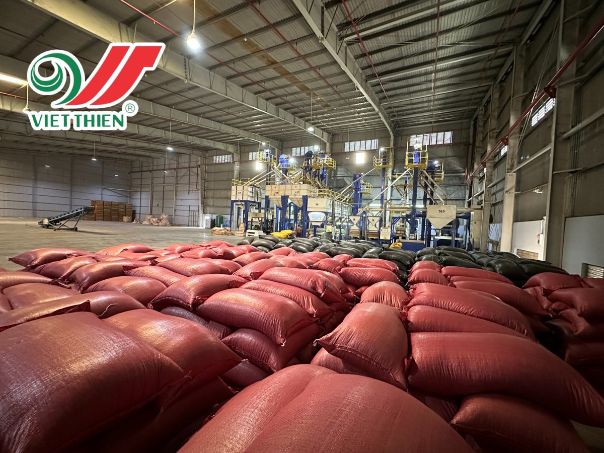 VietthienCoffee's tweet photo. Viet Thien Coffee Vietnam with Real inventory: minimum inventory of 150 tons. The flow of goods in and out of the warehouse is up to 250-300 tons per day #vietthien #coffee #Arabica #Robusta #greenbeans #roastedbeans #naturalprocess #coffeefarm #organiccoffee #fermedecafé https://t.co/1m4H6S3emz