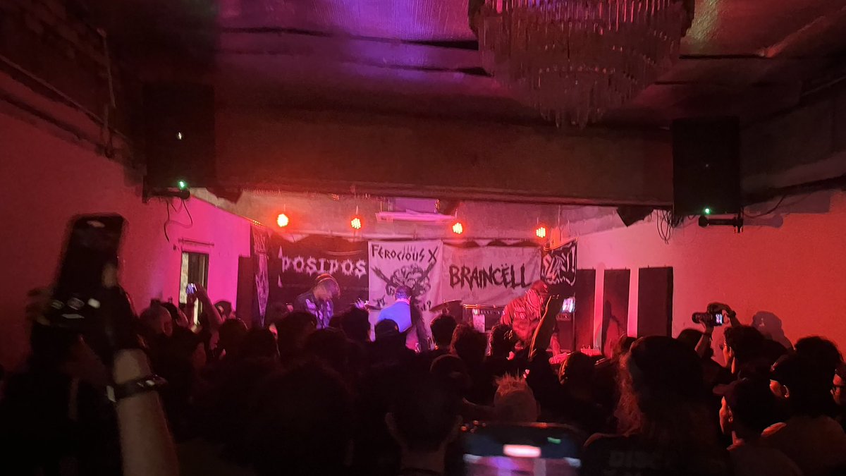 Braincell will crust up your arse!