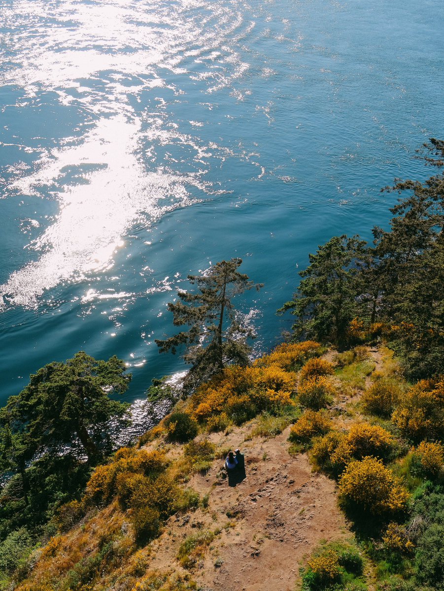 hzmdaa's tweet photo. Washington Coast https://t.co/inatdqySXg