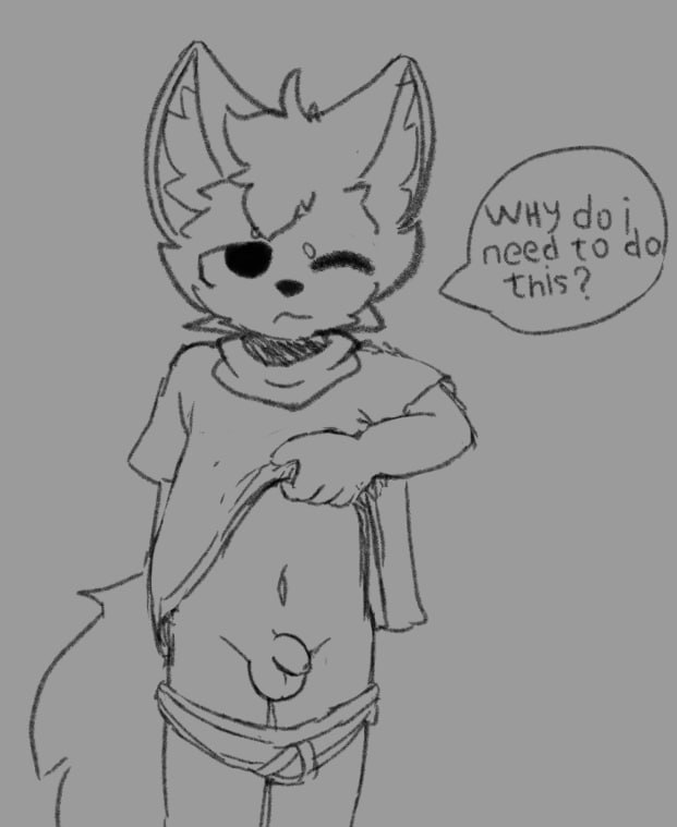 FluffyCato tweet media