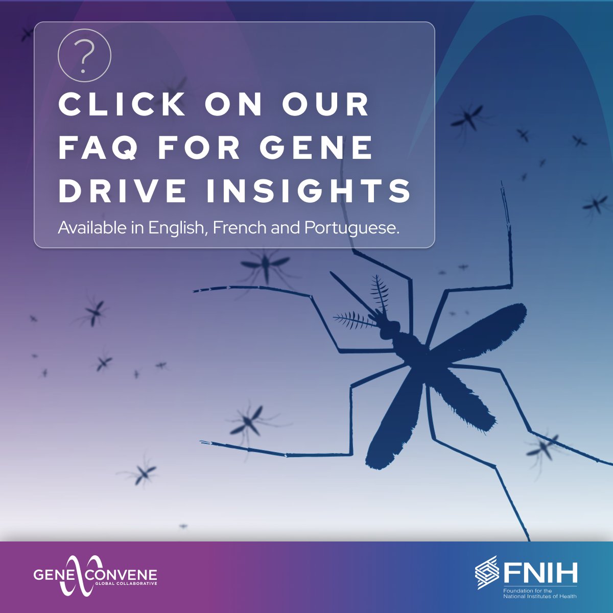 The GeneConvene Virtual Institute’s updated FAQs cover the public health benefits of genetic biocontrol, gene drives for insect-borne diseases, and risk management. Explore more in English, French, or   Portuguese: geneconvenevi.org/faq/

L'Institut Virtuel GeneConvene met à