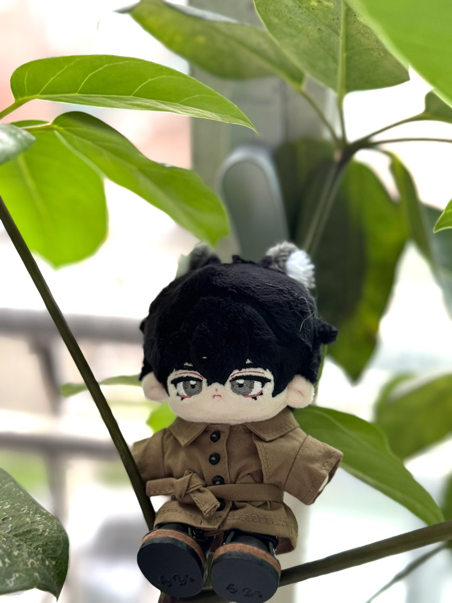 비가내리고 ☔️