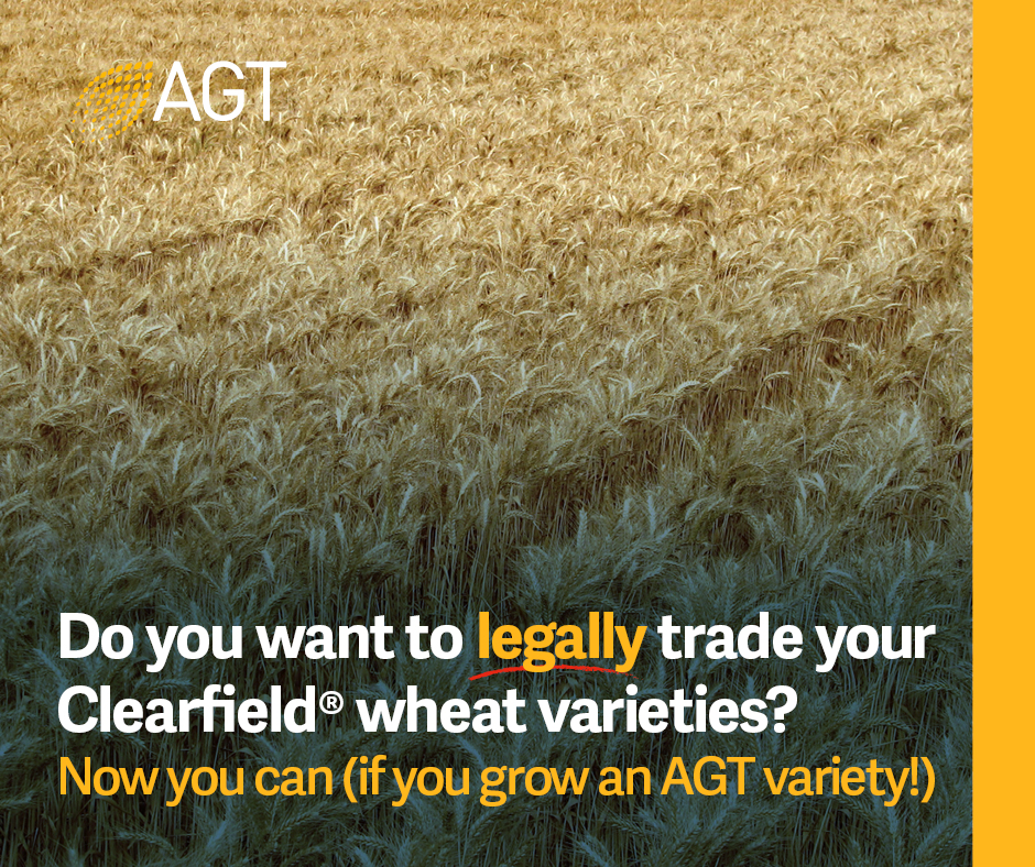 For more information on sharing AGT Clearfield varieties, click here: bit.ly/44bly4w
To access the AGT Grower Portal, click here: portal.agtbreeding.com.au

#seedsharing #Clearfield