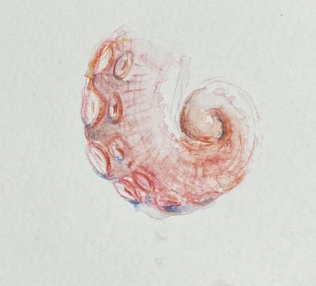 #ゴールデンウィークSNS展覧会2025
#イラスト
#illustration 

気に入ってる過去絵②おちびさんたち