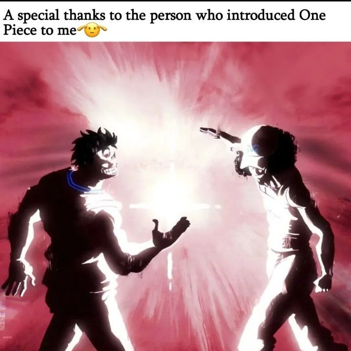 One Piece Daily (@opdaiiy) on Twitter photo 