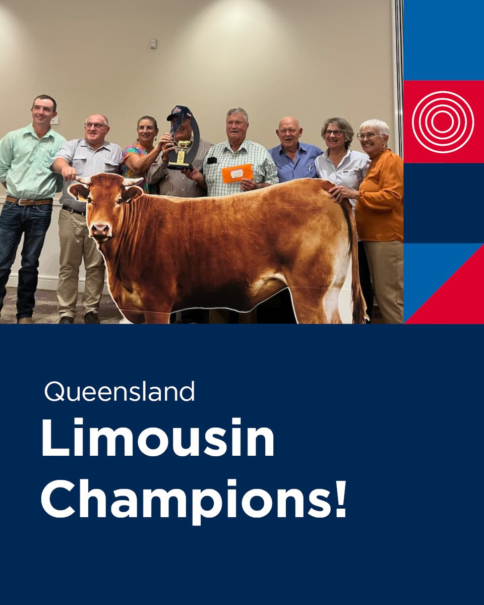 The Annual Qld Limousin Blockbuster once again showcased the very best in Limousin cattle! Congratulations to champion owners, Tom and Joy Surawski.

Thanks to our team at Teys Beenleigh and our GM Livestock Glenn Poole, for their role in making the competition a success!