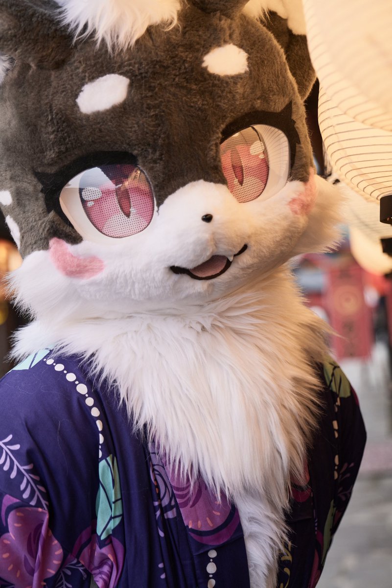까미 (@kkami_tiger) on Twitter photo 