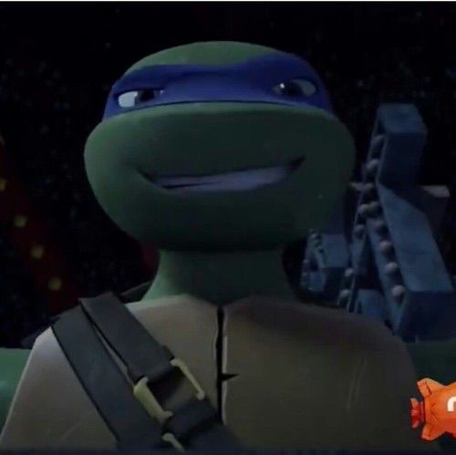 C𝑎𝑚𝑠 ☆ tweet media