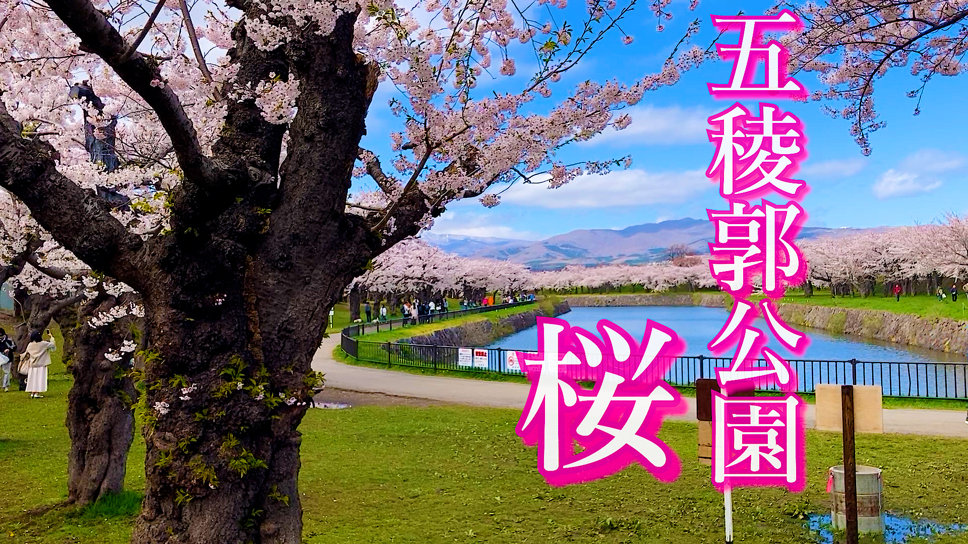 FMいるか 80.7MHz on X: 