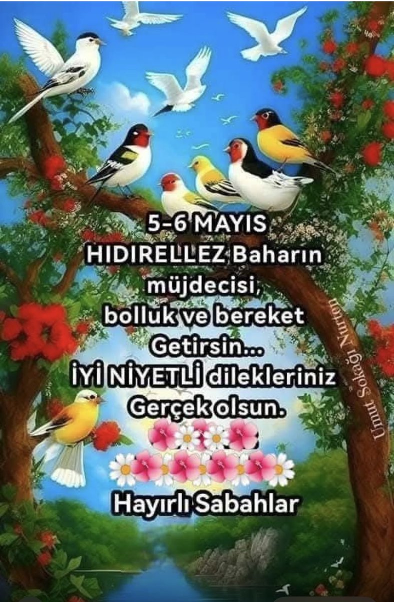 Kamil SAKA (@kamilsaka) on Twitter photo 