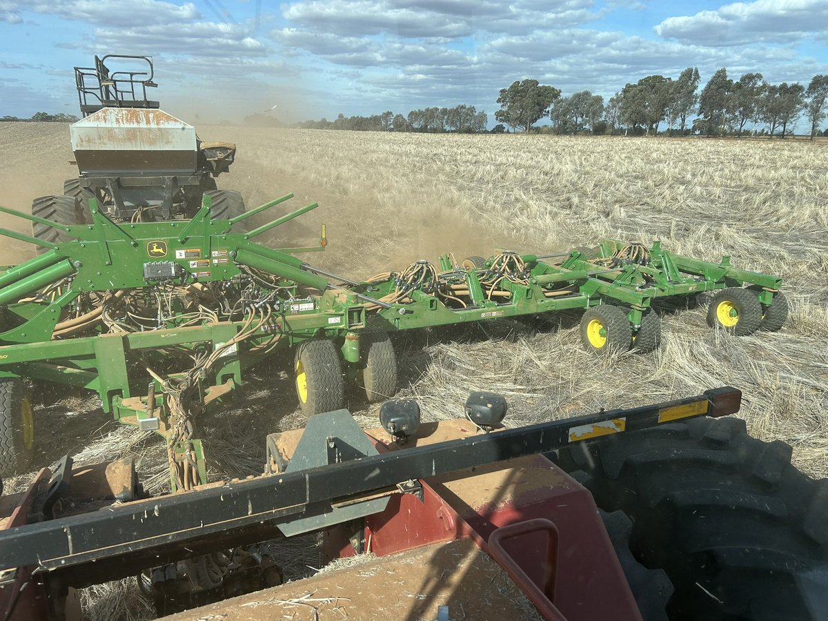 Still no rain but time to start. No rain in the 10 day forecast so planting my varieties in reverse. Late varieties first  #dry