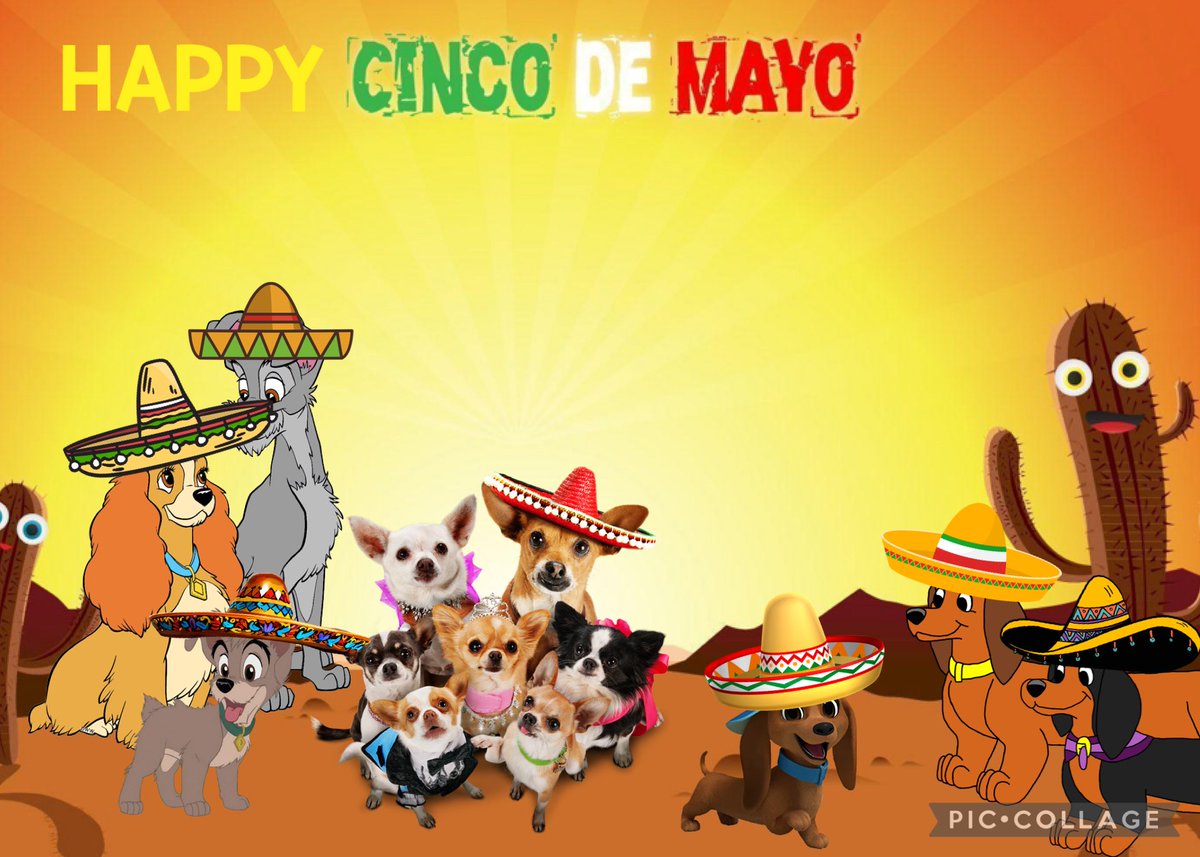 ๐พ แดแดแดษช แดส ๐พ (@xbevhillspapijr) on Twitter photo Happy Cinco de Mayo! From me, <a href="/ScampMuttPup/">๐๐๐๐๐ก ๐๐ฆ๐ฅ๐ฅ</a>, <a href="/XOneUptownPooch/">โณ๐พ๐๐ โ๐ถ๐น๐</a>, <a href="/OneScruffyStray/">Tramp</a>, <a href="/XBevHillsChloeX/">๐๐พ ๐๐ฑ๐ต๐ธ๐ฎ ๐ฆ๐ฒ๐ท๐ฝ๐ฑ๐ป๐ธ๐น ๐๐ผ๐ฑ๐ฎ ๐๐พ</a> (Mom), <a href="/XBevHillsPapi/">โจ๐พ Pแดแดษช Cแดสแดแดแดข โจ๐พ</a> (Dad), <a href="/BevHillsAliChih/">๐งก ๐๐ต๐ฒ ๐ก๐ธ๐ผ๐ฎ Cโแตฃโโz ๐งก</a>, <a href="/XRosaBevHillsX/">๐๐ฐ๐ด๐ข ๐๐บ๐ฏ๐ฏ ๐๐ฐ๐ณ๐ต๐ฆ๐ป</a>, @Pedropup2, <a href="/Pretzel_MaxDach/">๐ฅจ๐พPretzel ๐พ๐ฅจ</a> and <a href="/GretaDachshund/">Greta</a> Happy Cinco de Mayo! From me, <a href="/ScampMuttPup/">๐๐๐๐๐ก ๐๐ฆ๐ฅ๐ฅ</a>, <a href="/XOneUptownPooch/">โณ๐พ๐๐ โ๐ถ๐น๐</a>, <a href="/OneScruffyStray/">Tramp</a>, <a href="/XBevHillsChloeX/">๐๐พ ๐๐ฑ๐ต๐ธ๐ฎ ๐ฆ๐ฒ๐ท๐ฝ๐ฑ๐ป๐ธ๐น ๐๐ผ๐ฑ๐ฎ ๐๐พ</a> (Mom), <a href="/XBevHillsPapi/">โจ๐พ Pแดแดษช Cแดสแดแดแดข โจ๐พ</a> (Dad), <a href="/BevHillsAliChih/">๐งก ๐๐ต๐ฒ ๐ก๐ธ๐ผ๐ฎ Cโแตฃโโz ๐งก</a>, <a href="/XRosaBevHillsX/">๐๐ฐ๐ด๐ข ๐๐บ๐ฏ๐ฏ ๐๐ฐ๐ณ๐ต๐ฆ๐ป</a>, @Pedropup2, <a href="/Pretzel_MaxDach/">๐ฅจ๐พPretzel ๐พ๐ฅจ</a> and <a href="/GretaDachshund/">Greta</a>