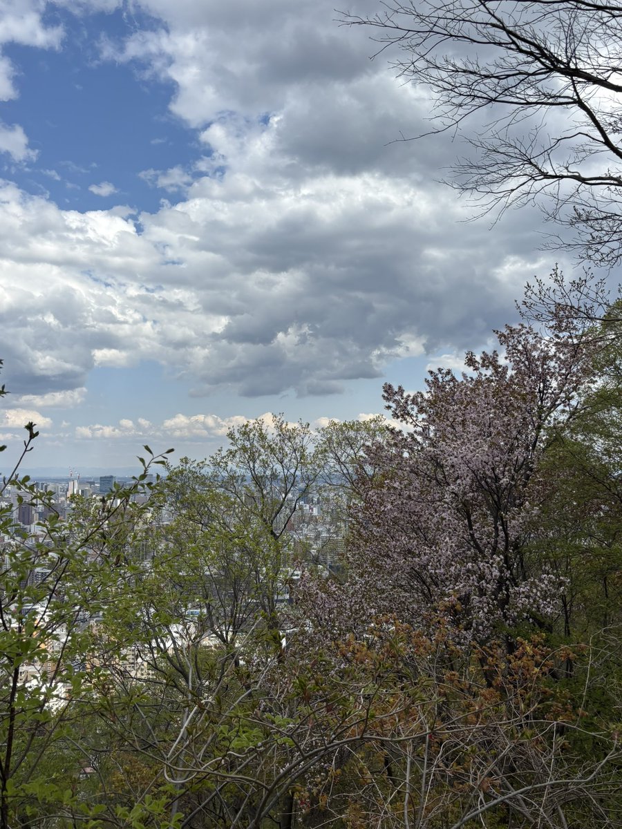 久しぶりの登山⛰