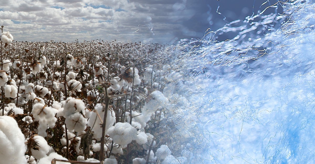 RieterLtd's tweet photo. Rieter to acquire Barmag from OC Oerlikon to accelerate its growth strategy and become a market leader in natural and manmade fibers: https://t.co/nt7AMQ7uKP.
#Rieter https://t.co/QOzAy5bKYI