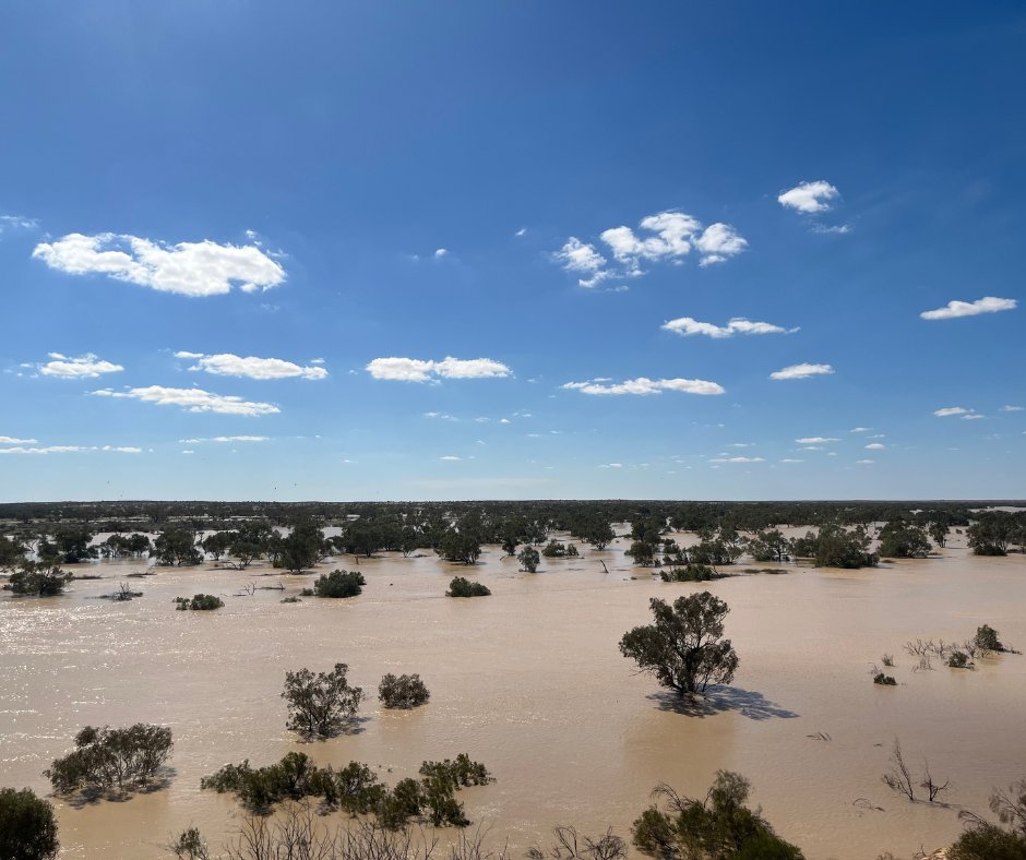 Floodwaters are surging down the Warburton River channel and filling Kati Thanda-Lake Eyre at AWC’s Kalamurina Wildlife Sanctuary in SA. Find out more about this natural phenomenon in our next webinar. 
⏰ Thursday 15 May 12:00PM AEDT 
🔗Register: bit.ly/AWC-WM-Webinar…