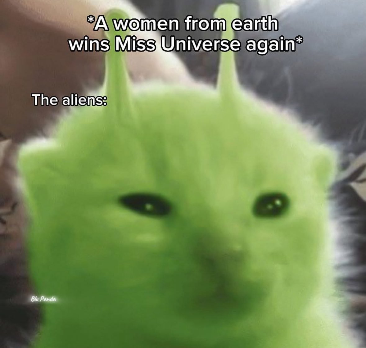 RespectfulMemes's tweet image. 