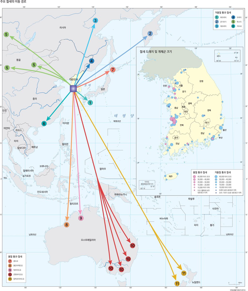 한국 거치는 철새 이동 경로임 단일반구 서파수면 (비행 중 수면)으로 잠을 보충하고 먹이 활동을 최소화하며 이동함 오면서 죽는 개체도 많음 가까스로 도래지에 도착했는데 터가 없다? 어떤 생체 활동도 못 함 그 계절에 넘어온 개체들은 인간에 의해서 몰살당할 수 있는 거임.