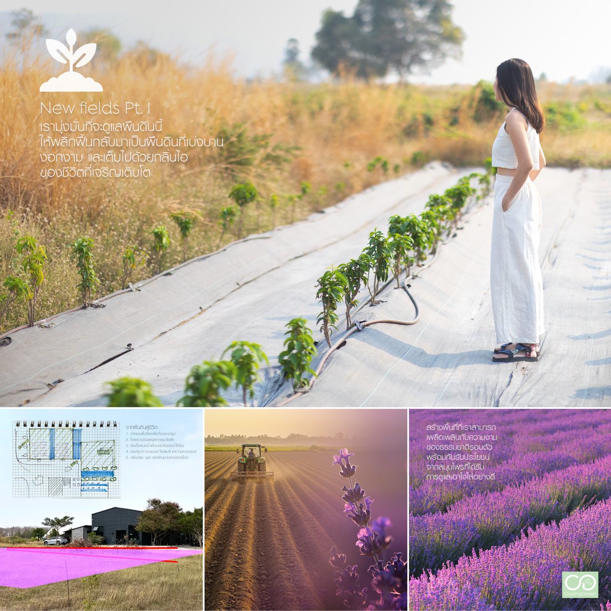 ผลิตภัณฑ์ชั้นเลิศ เริ่มต้นมาจากผืนดิน

เราปลูกพืชพื้นเมืองมาหลายชนิด —ถึงเวลาขยายขอบเขตให้กว้างขึ้น! สมุนไพรใหม่ๆ แปลงปลูกใหม่ๆ โอกาสใหม่ๆ

🌿 ฟาร์มสมุนไพรสำหรับผลิตไฮโดรซอล &amp; สารสกัดเพื่อสุขภาพ – ตอนที่ 1

เมื่อเรามาสัมผัสที่ดินแห่งนี้ครั้งแรก เราเห็นเพียงผืนดินแตกระแหง