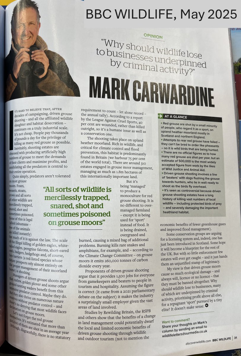 "Why should wildlife lose to businesses undepinned by criminal activity?" - Mark Carwardine on driven grouse shooting, BBC Wildlife Magazine.

raptorpersecutionuk.org/2025/05/06/why…
