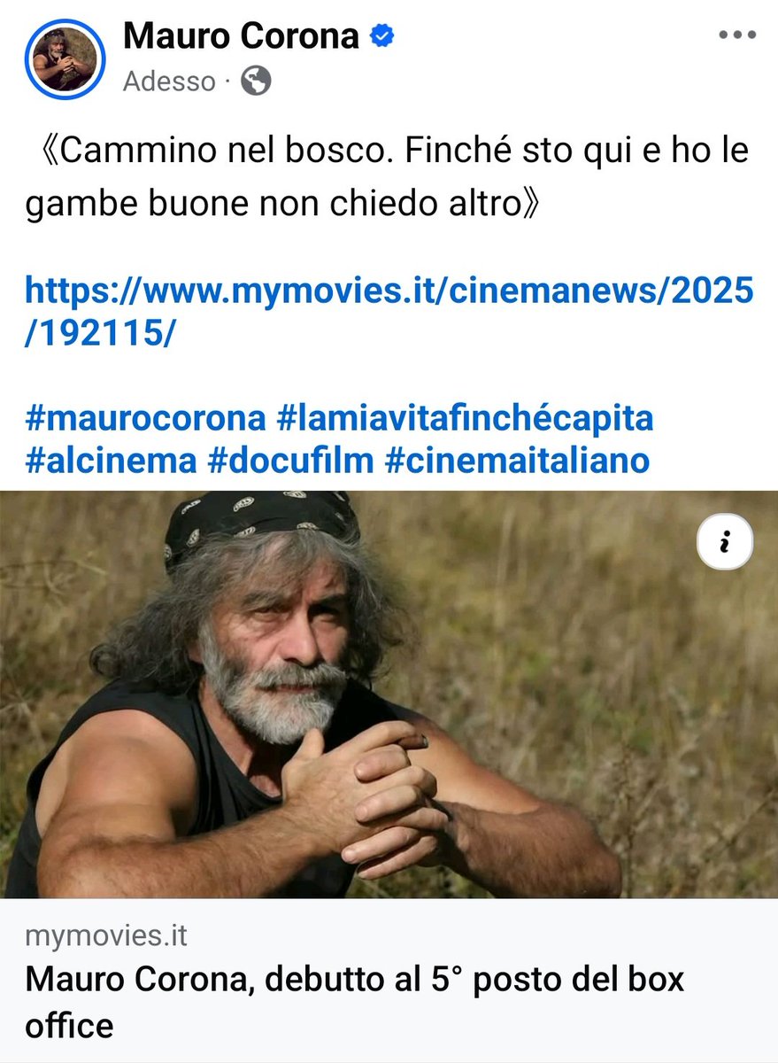 《Cammino nel bosco. Finché sto qui e ho le gambe buone non chiedo altro》

mymovies.it/cinemanews/202…

#maurocorona #lamiavitafinchécapita #alcinema #docufilm #cinemaitaliano