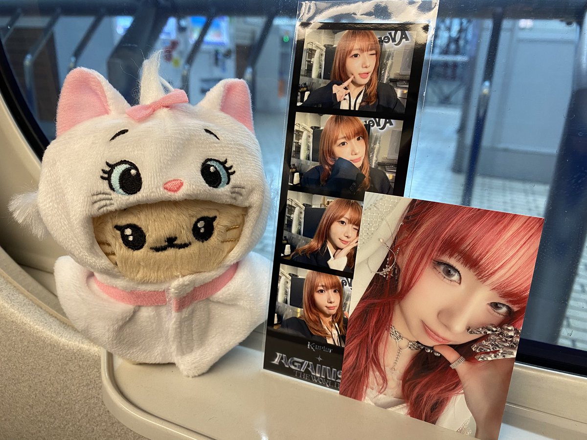 東京またね👋🦊