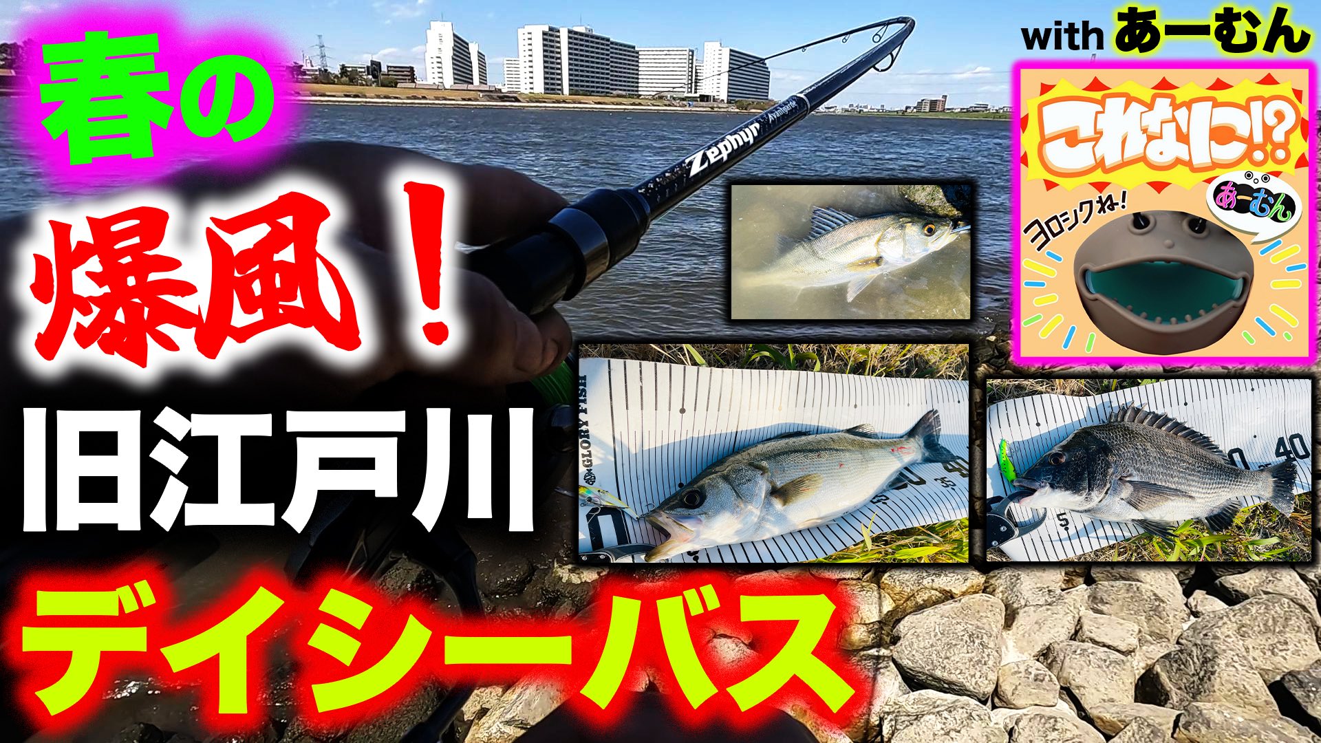 釣りは一生やるch (@turi_issyo) / X