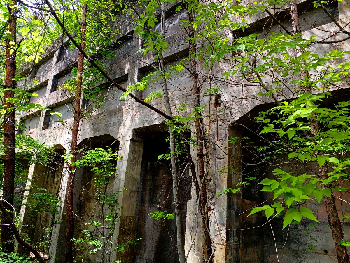 mokmok204's tweet image. 林道の先にあった物。
古代遺跡のような鉱山施設跡。